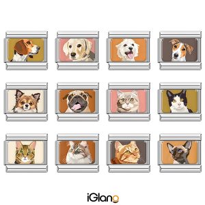 Animals Cat Dog Italian Charm