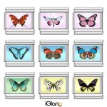 Beautiful and Lovely Butterfly Italian Charm